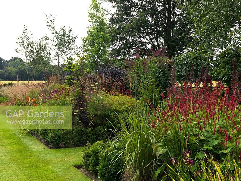 Long border planted with Persicaria amplexicaulis Firetail, fennel, Eupatorium purpureum, Verbena hastata, ninebark, Deschampsia cespitosa Goldtau, Calamagrostis x acutiflora Karl Foerster, red orach, daylily.