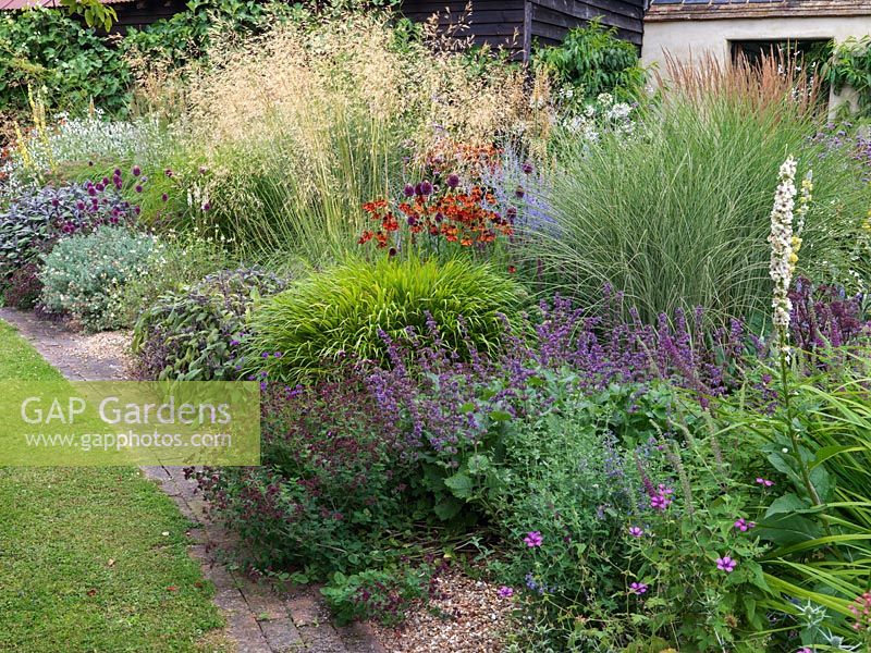 Gravel bed with drought tolerant planting -  Stipa gigantea, Helenium Moerheim Beauty, Sedum telephium Matrona, verbena, miscanthus, perovskia, Nepeta racemosa Walkers Low, Allium drummondii, salvia.