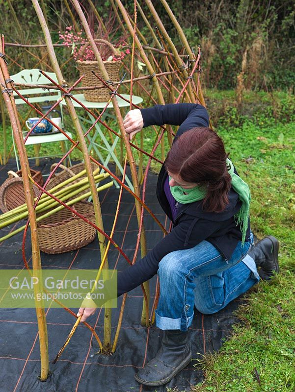 Woman creating a living willow arbour - built by laying weedproof cloth in which uprights are put every 25cm, secured at waist height with binders. Now, weavers are being threaded through.