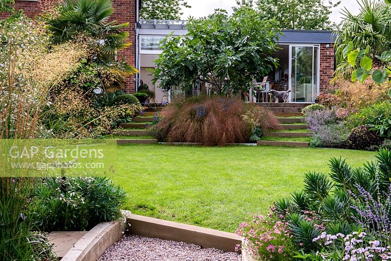 Gravel steps lead onto an oval shaped lawn in a split level terraced garden. A large clump of Deschampsia cespitosa Bronzeschleier are planted in between Chamomile covered steps, which lead to the deck and house.