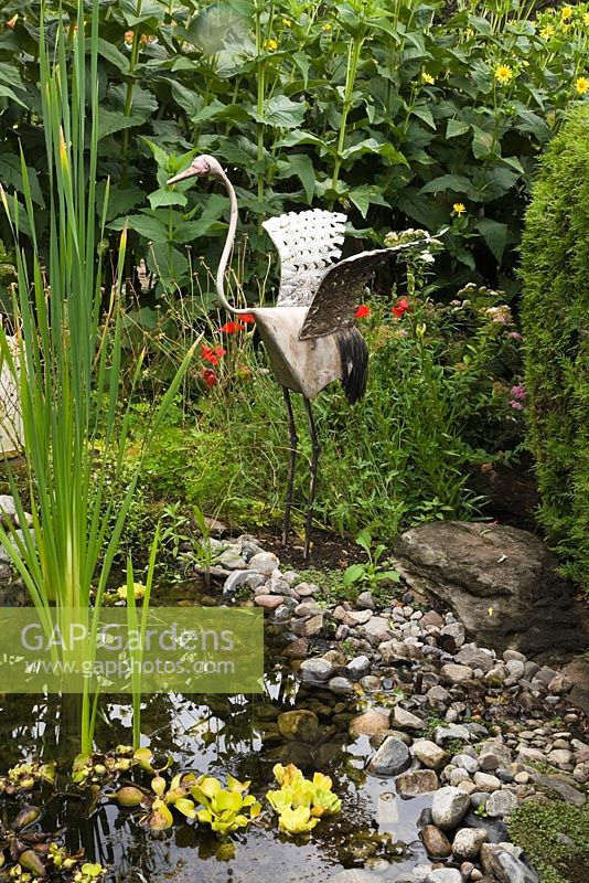 Metal bird sculpture on the edge of a pond with Typha latifolia - Common Cattails in backyard rustic garden in summer, Quebec, Canada
