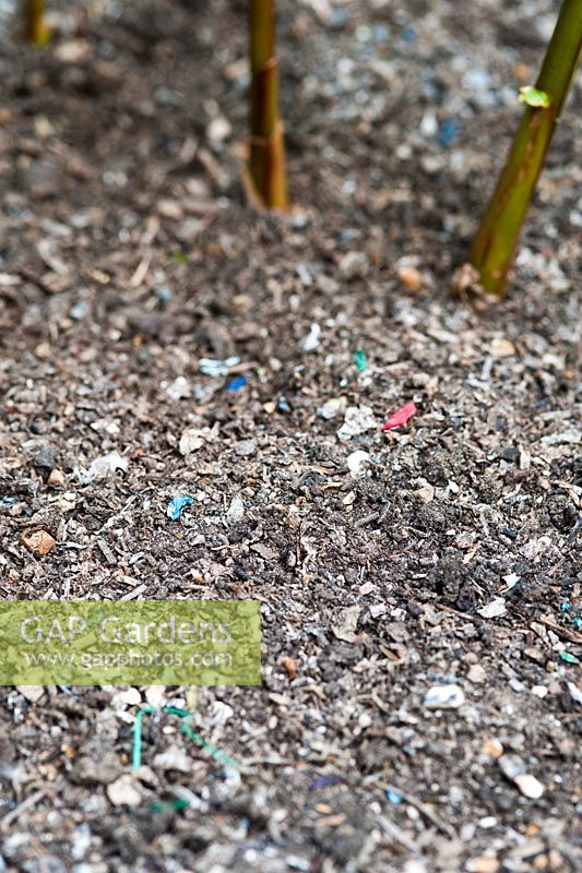Composted household green waste used as a mulch. Showing small particles of plastic.