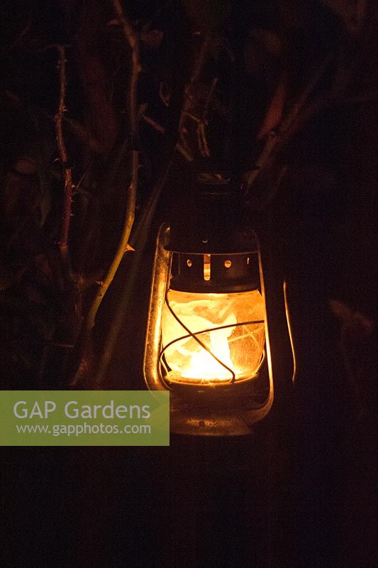 Garden lantern at night
