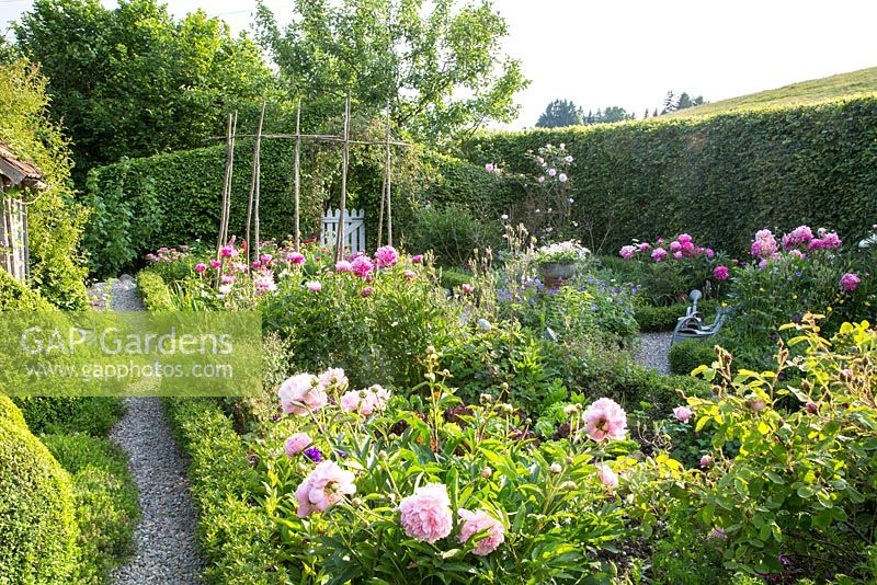 Embedded in a hilly landscape and enclosed by hornbeam hedges, a rural garden with box edged borders containing flowers, vegetables and salads. The paths are mulched with gravel. 
