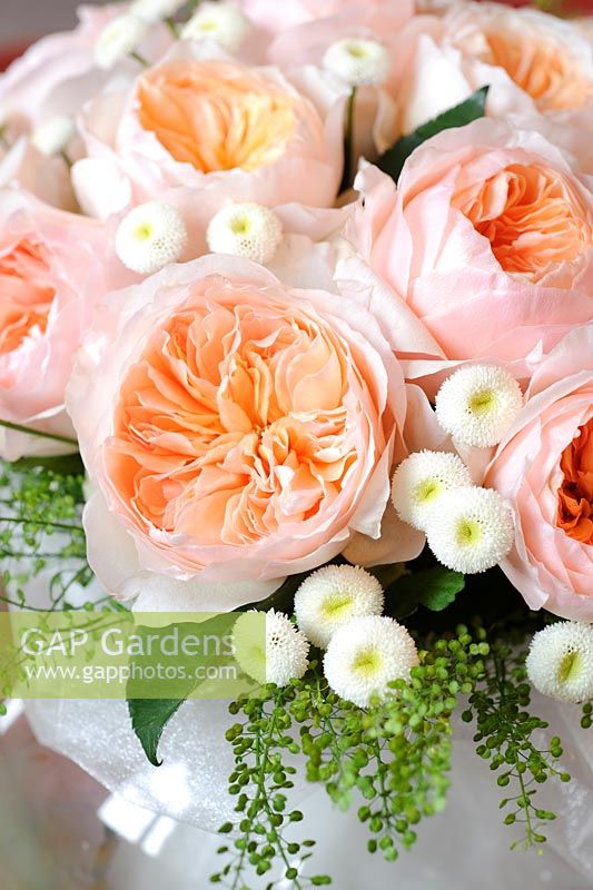Peach roses in an arrangement. Rose 'Juliet' a cut flower variety from David Austin Roses