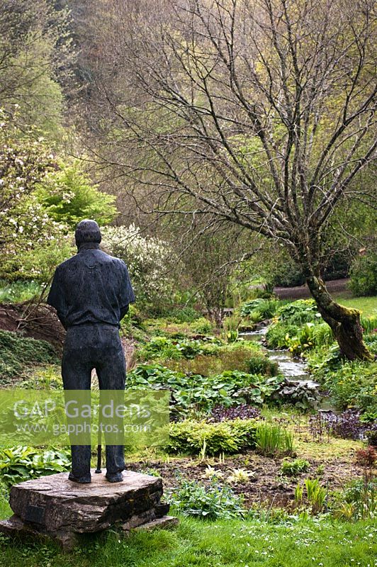 Statue of Dr. Jimmy Smart looking over valley bog garden and stream in Spring, Marwood Hill Gardens, Barnstaple, Devon, UK