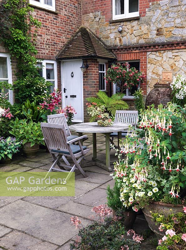 Secluded courtyard with table and chairs amidst pots of tree fern, hosta, Asiatic hybrid lilies, pelargonium and Fuchsia 'Mrs. W Rundle' standard F. 'Celia Smedley'.
