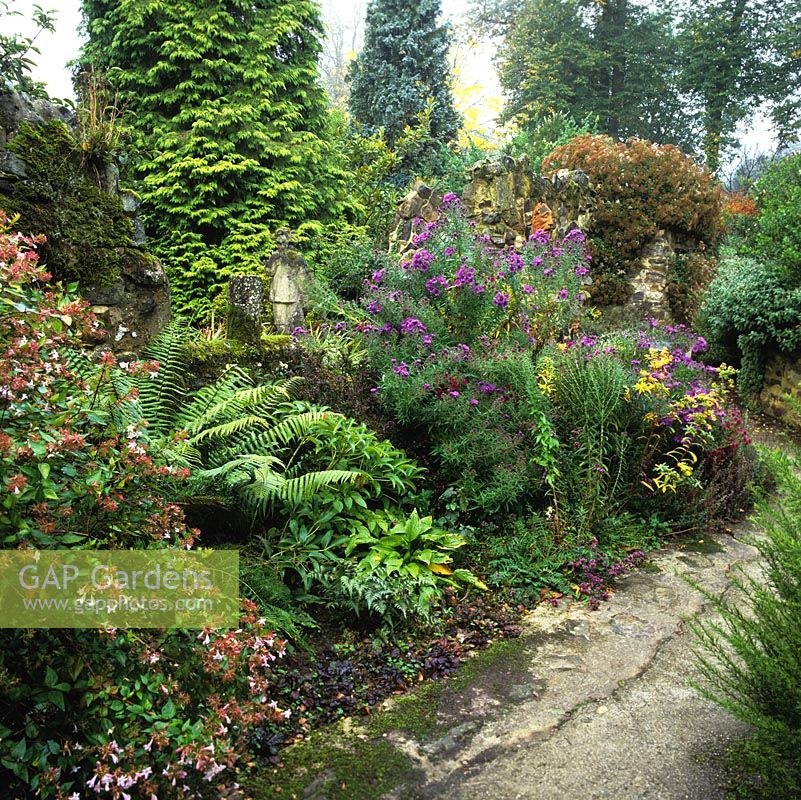 View of ironstone ruins built by Eric Cameron, creator of this garden over last 40 yrs, now engulfed by ferns, asters 