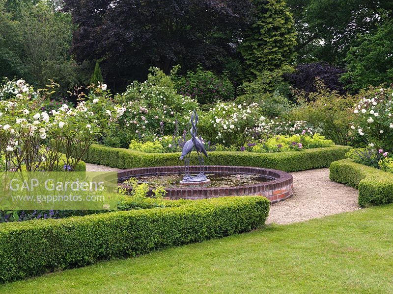 Rose Garden. Central lily pond with sculpture. Box-edged beds of roses - Comte de Chambord, Prosperity, Felicia - Alchemilla mollis, Allium cristophii, camint.