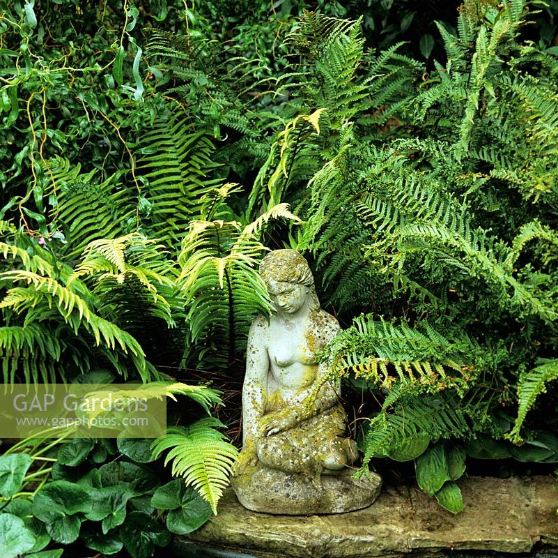 Beside pond, stone statue of girl rests in shade of ferns and contorted willow.
