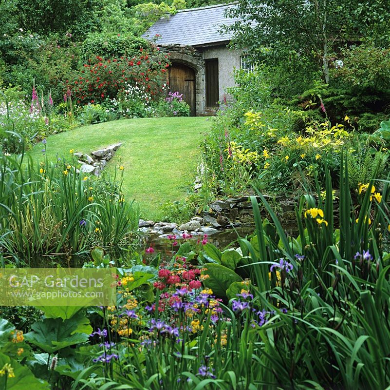 Pond edged in candelabra primulas, iris - flag and Sibirica - rheum and foxgloves is shaded by silver birch. Up grassy hill, Rose Redcoat against stone wall, veiling old oak gate.