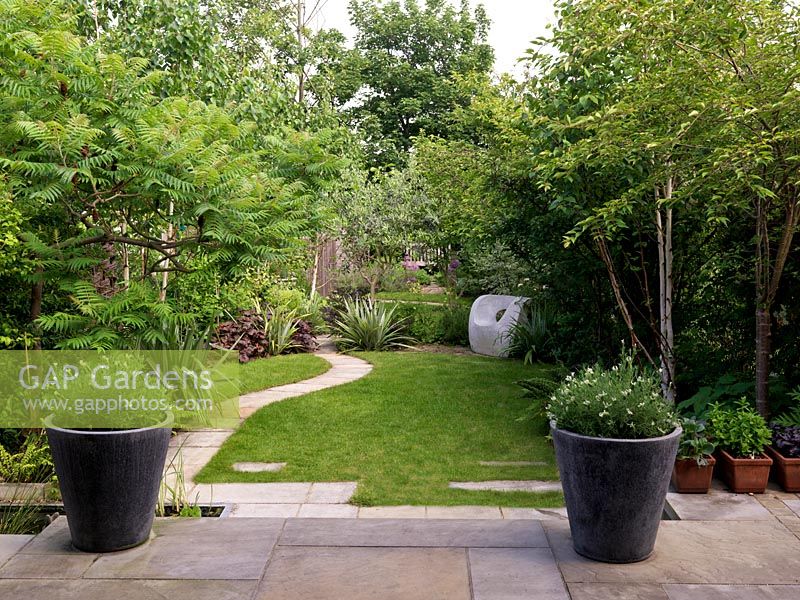 View from within house, over terrace, lawn and down leafy garden of sumach, olive, astelia, magnolia, birch, cherry, dogwood, heuchera, astilbe, fern to herb garden.