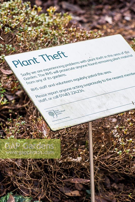 Notice concerning plant theft at RHS garden Wisley.