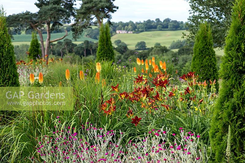 Twin herbaceous borders planted with perennials Kniphofia 'Tawny King', Hemerocallis 'Stafford', Sedum 'Autumn Joy' and Phlox 'Uspekh', planted around repeated Cupressus sempervirens - confiers. Pink annual Lychnis coronaria at front.