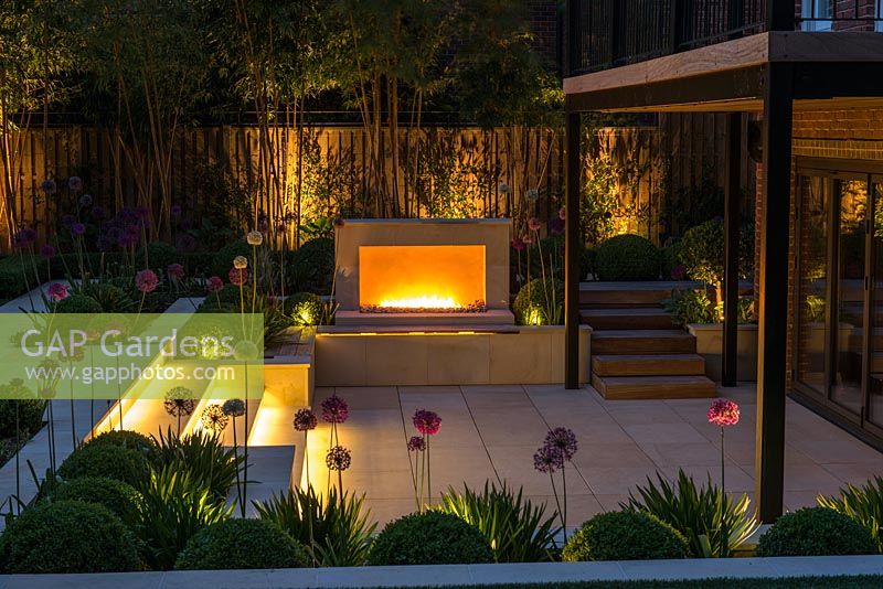 Town garden designed by Kate Gould, lit at night. Flames from an open gas fireplace illuminate the sunken terrace which is edged in beds of box balls interspersed with purple and white allium. Back boundary is planted with tall golden bamboo.