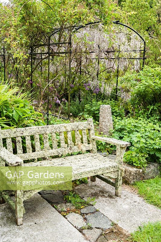 Lichen encrusted bench with wisteria clad pergola behind. Caervallack Farm, nr Helston, Cornwall, UK