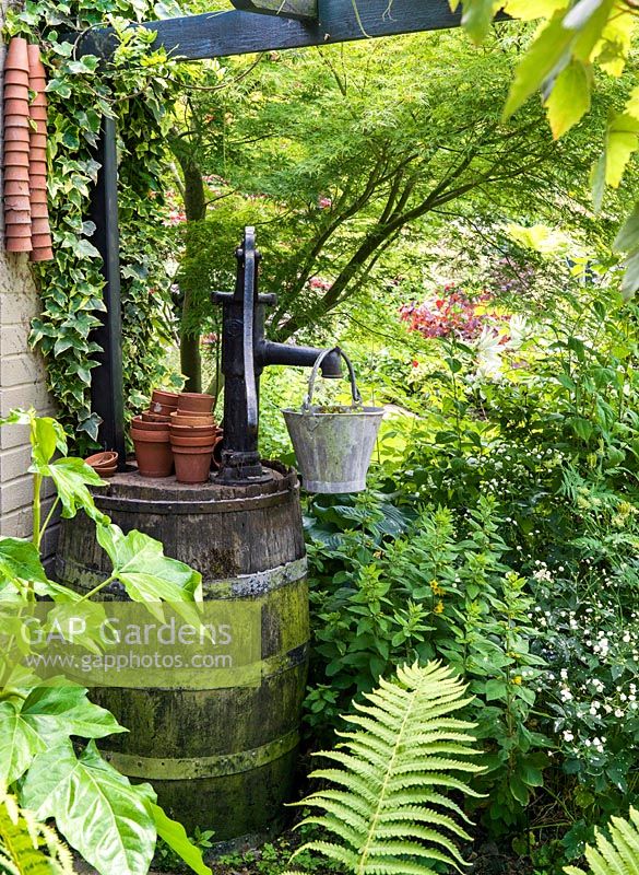 A water butt collecting rain water from a garden out building.