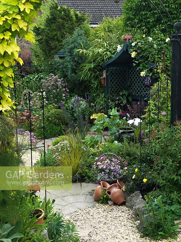 A pretty town garden with mixed cottage garden style planting.