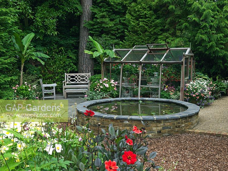 Circular raised pool, seen over Leucanthemum x superbum and Dahlia Sarah. Behind, banana in pots with geranium and busy lizzies. Greenhouse with pots of annuals.