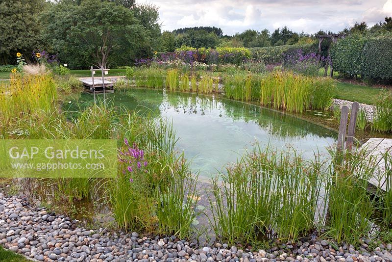 View of swimming pond in domestic garden. September.