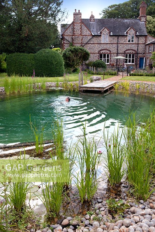 Man swimming in swimming pond. July.