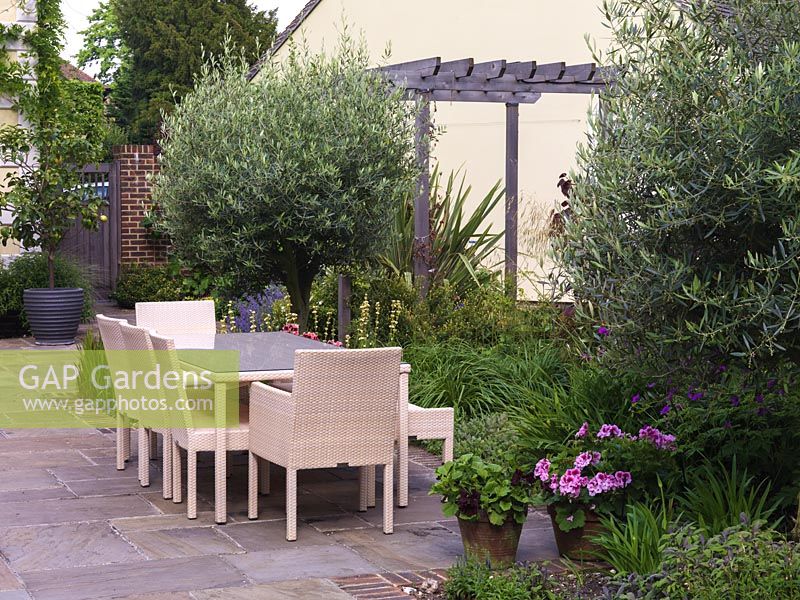 Dining table and chairs on sunny terrace. Beds of olive trees, sage, Geranium Ann Folkard, Sisyrinchium striatum, ornamental grasses.