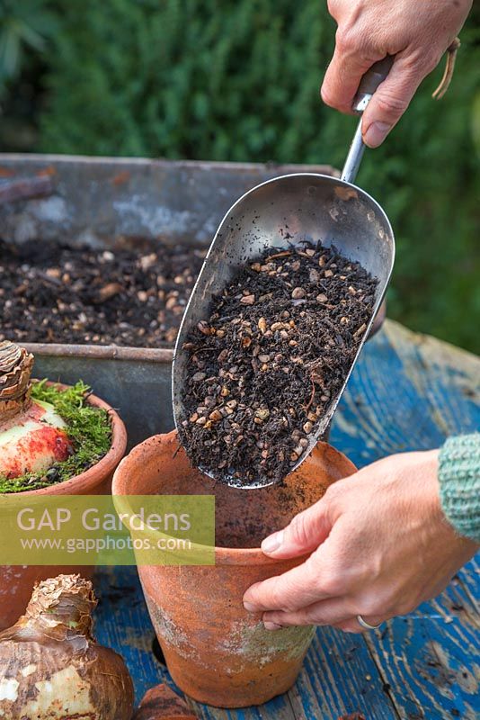 Filling pots with the gravel and compost mix