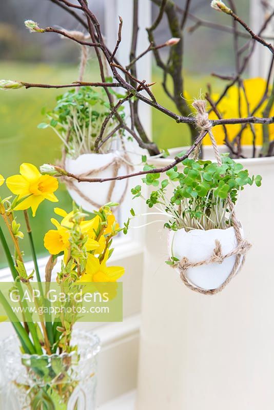 Egg Shell Cress hanging in a rustic string satchel, amongst an Easter setting. 