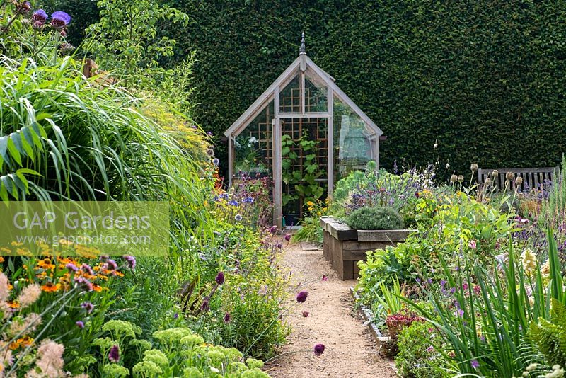 A path leads to a greenhouse through a double border planted with late summer flowering perennials including echinops, cardoon, salvia, daylily, crocosmia, sedum, fennel, helenium, Verbena bonariensis, Carthusian dianthus, and drumstick allium. On right, raised bed planted with herbs.