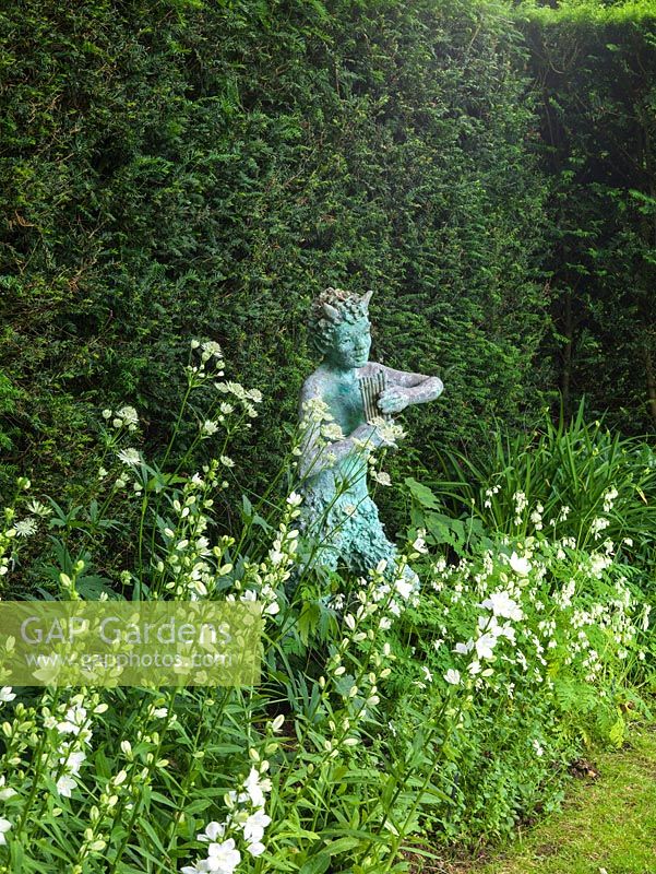 Statue rests in shady border of white corydalis, campanula, astrantia and viola, offset against a dark yew hedge.