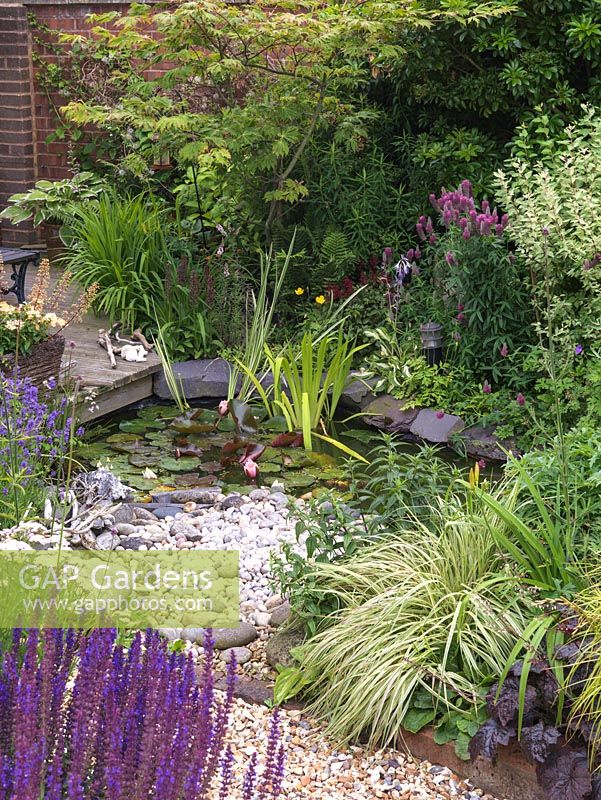 Small informal wildlife pond with water lilies and edged with a pebble beach.