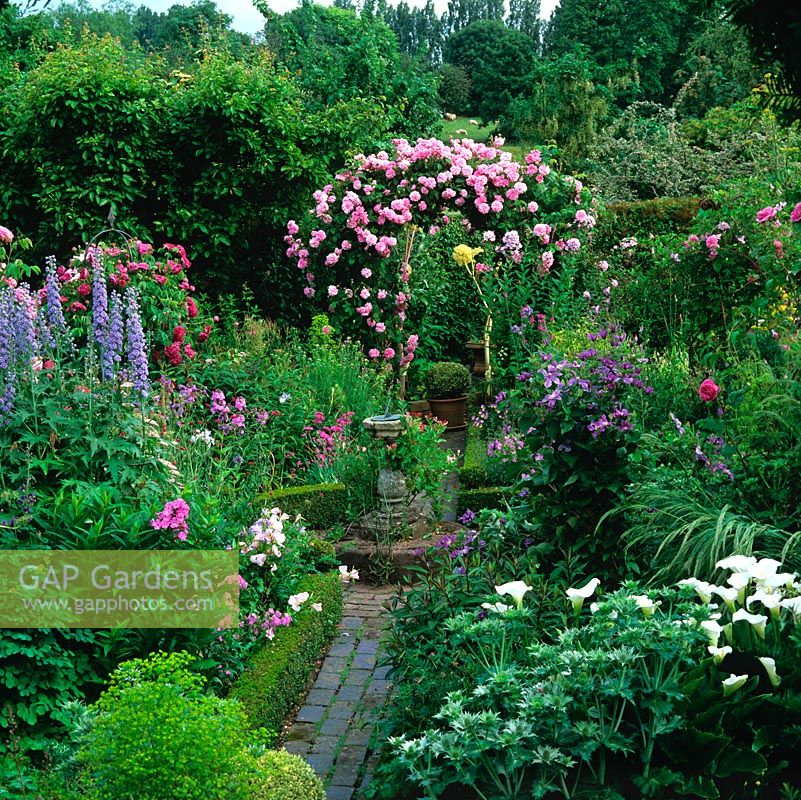 Box parterre with Rosa 'Ispahan' on the arch, Delphinium 'Alice Artindale'. Clematis 'Prince Charles', Rosa 'Charles de Mills' on obelisks and arum lily, phlox, pinks and campanula.