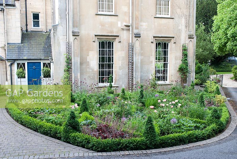 Front garden with low clipped Box hedging and summer perennials including Heuchera, Papaver orientale and Cirsium rivulare 'Atropurpureum' - Priory House - Wiltshire