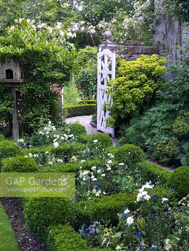 Box edged bed of Rose 'Little White Pet', nicotiana and pansies flanks path leading to white gate and potager. Trained over arch, roses Graham Thomas, Brenda Colvin.