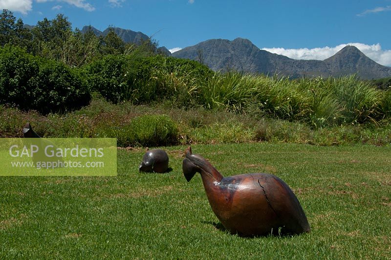 Wood sculpture of guineafowl. Children's play area. Vergelegen gardens. Somerset West. South Africa