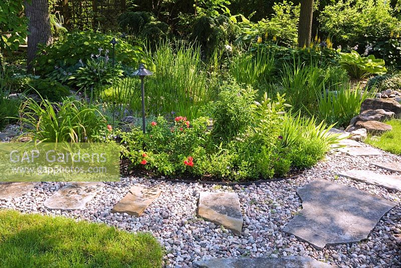 Flagstone and gravel paths through borders planted with perennial plants, shrubs, flowers including Hosta, yellow Ligularia 'The Rocket' in residential backyard garden in summer