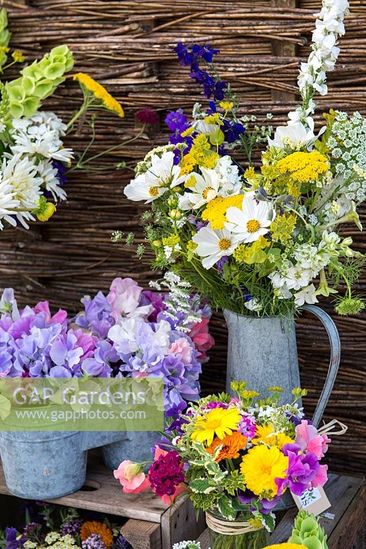 At Organic Blooms, flowers are grown for cutting and arranging. They include marigold, cosmos, larkspur, ammi, sweet peas, clary sage, scabious, sweet william, achillea, nicotiana, cornflower, clarkia, feverfew.