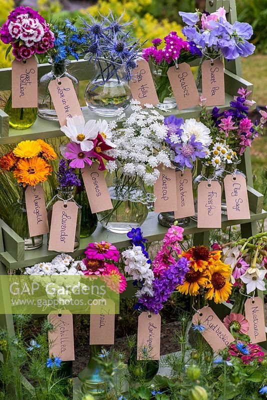 Glass jars and bottles filled with cut flowers. Pictured from left to right, top to bottom - sweet william, love-in-the-mist, sea holly, statice, sweet pea, marigold, lavender, cosmos, ammi, scabious, feverfew, clary sage, zinnia, achillea, larkspur, rudbeckia and nicotiana.