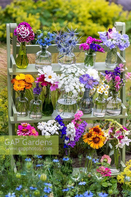 Glass jars and bottles filled with cut flowers. Pictured from left to right, top to bottom - sweet William, love-in-the-mist, sea holly, statice, sweet pea, marigold, lavender, cosmos, ammi, scabious, feverfew, clary sage, zinnia, achillea, larkspur, rudbeckia and nicotiana.