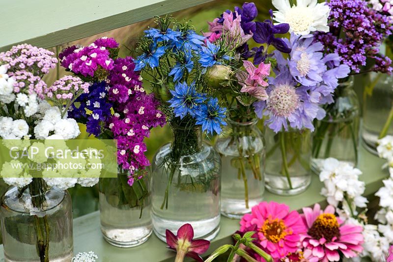 Cut flowers grown in the garden, including sea lavender, love-in-the-mist, clary sage, scabious, Verbena bonariensis