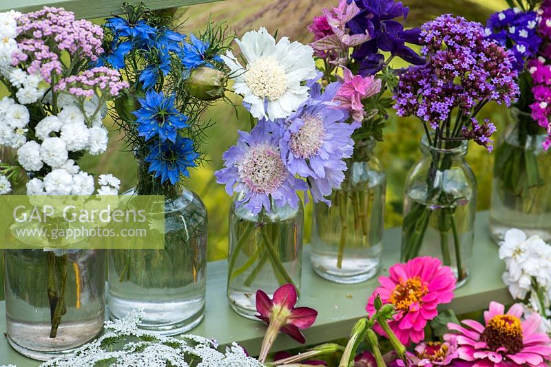 Cut flowers grown in the garden, including achillea, love-in-the-mist, scabious, clary sage and Verbena bonariensis.