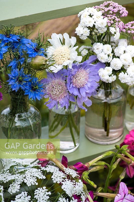 Cut flowers grown in the garden, including love-in-the-mist, scabious, achillea, lacecap and nicotiana.