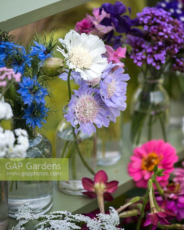Cut flowers grown in the garden, including love-in-the-mist, scabious, clary sage, Verbena bonariensis and zinnia.