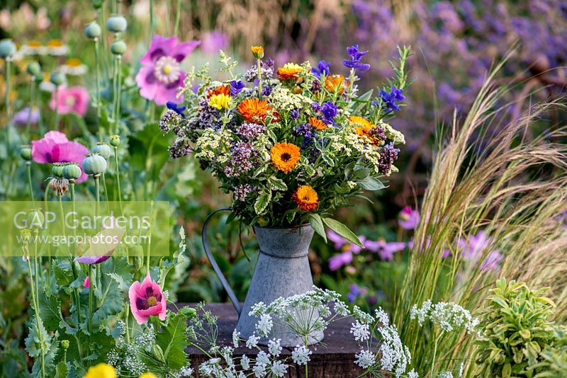 Galvanised jug filled with arrangement of herbal plants - feverfew, marigold, clary sage, oregano, mint, rosemary, lavender.