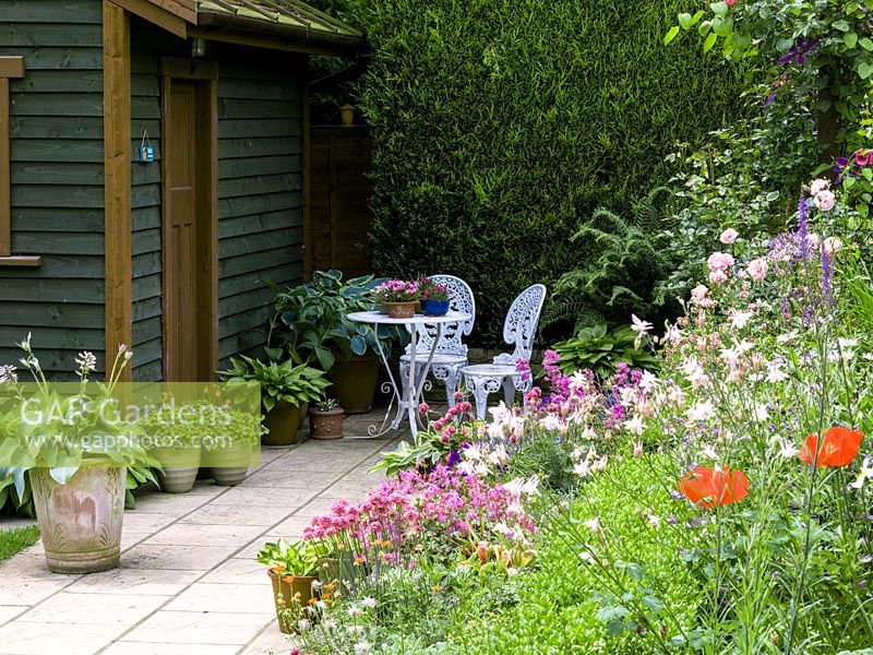 Tucked away between conifer hedge and shed, white metal table with pots of Rhodohypoxis. Seen past herbaceous bed of sea pinks, poppy, aquilegia, hosta, hardy geranium.