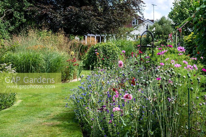 A grass path leading to the house through double borders planted with Calamagrostis, Miscanthus, Stipa grasses and annual wildflower mix.