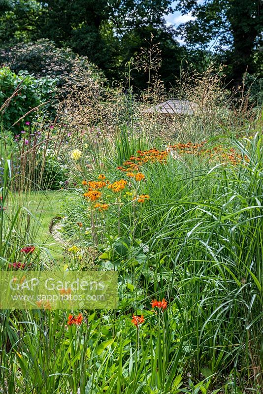 A hot herbaceous border planted with Helenium, Monarda, Crocosmia and Dahlia along with Stipa, Calamagrostis and Molinia grasses.