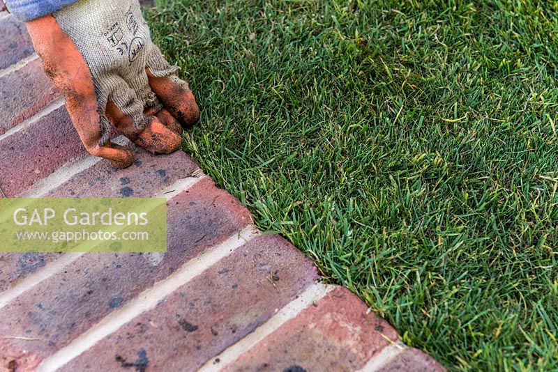 Lawn Restoration. Having removed excess turf, press down to inside of wall. The level of wall and turf and matched so that the mower will run over the wall, creating a clean edge to the new lawn.