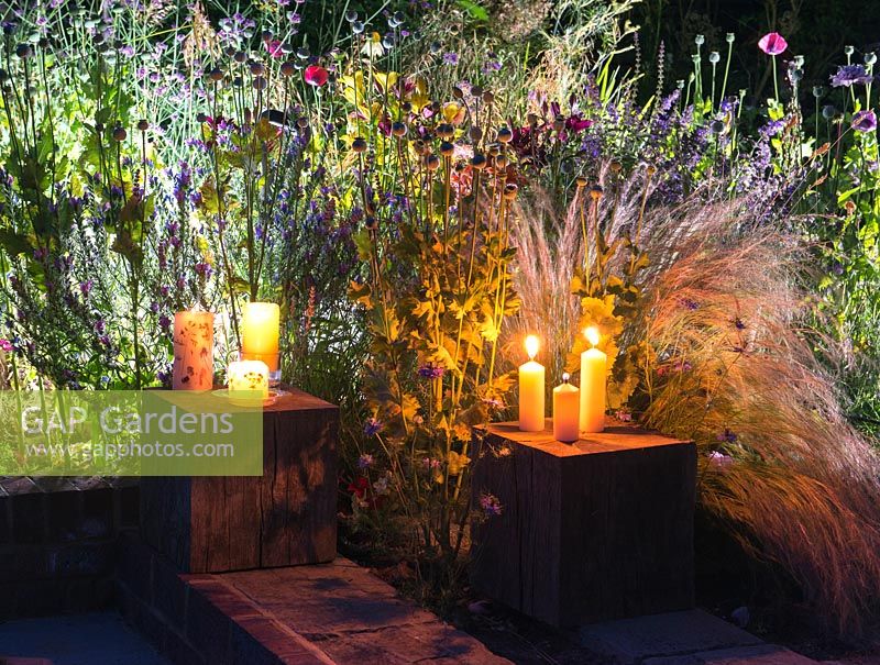 Candles and garden lighting illuminating a border at night, spotlighting Stipa tenuissima, annual poppy seedheads, Echium plantagineum, Nepeta Walker's Low and asiatic lilies.