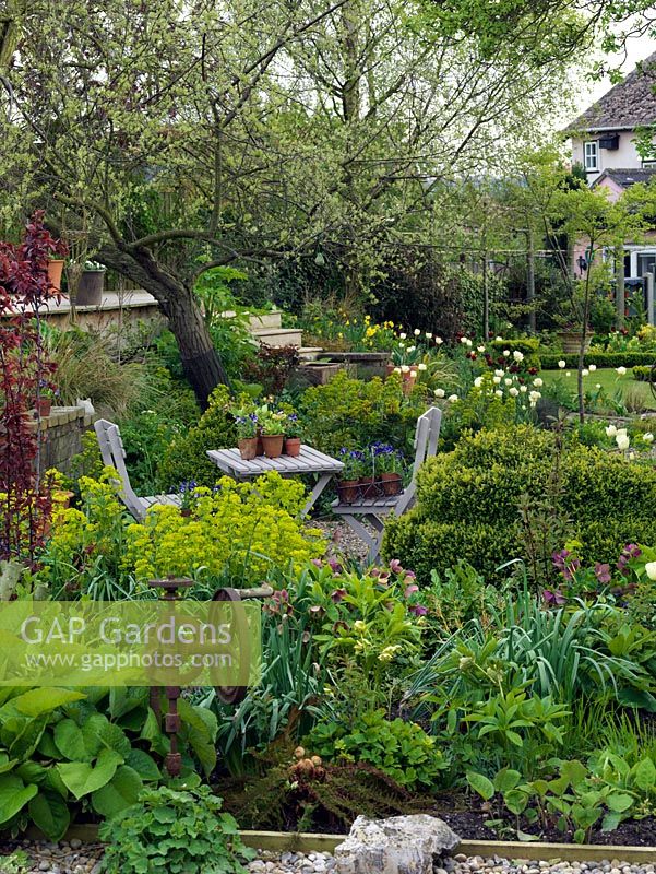 Quiet seating area amidst borders of tulips, daffodils, hellebores, ragged robin, euphorbia and ferns. To the left up steps, top deck.